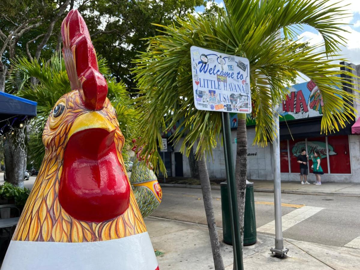 Stunning Little Havana Suites Close To Airport, Calle Ocho, Brickell, Wynwood And The Beaches - Free Parking Маями Екстериор снимка